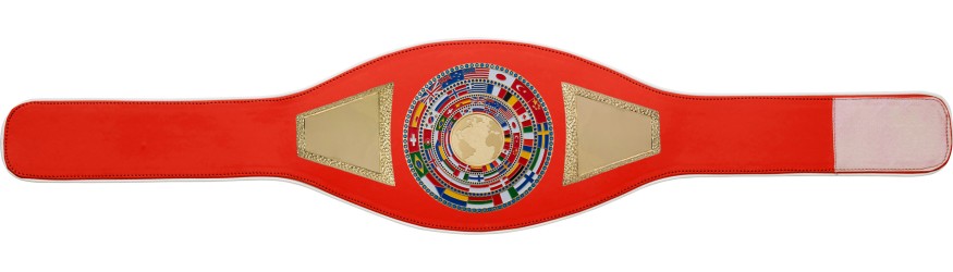 WORLD CHAMPION PROFLAG2/FLAG/G/BIGWG - VARIETY OF LEATHER COLOURS AVAILABLE WORLD CHAMPION PROFLAG2/FLAG/G/BIGWG - VARIETY OF LEATHER COLOURS AVAILABLE